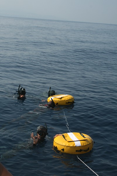 LWF Apnea Constant Weight Contest